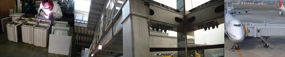 imm1